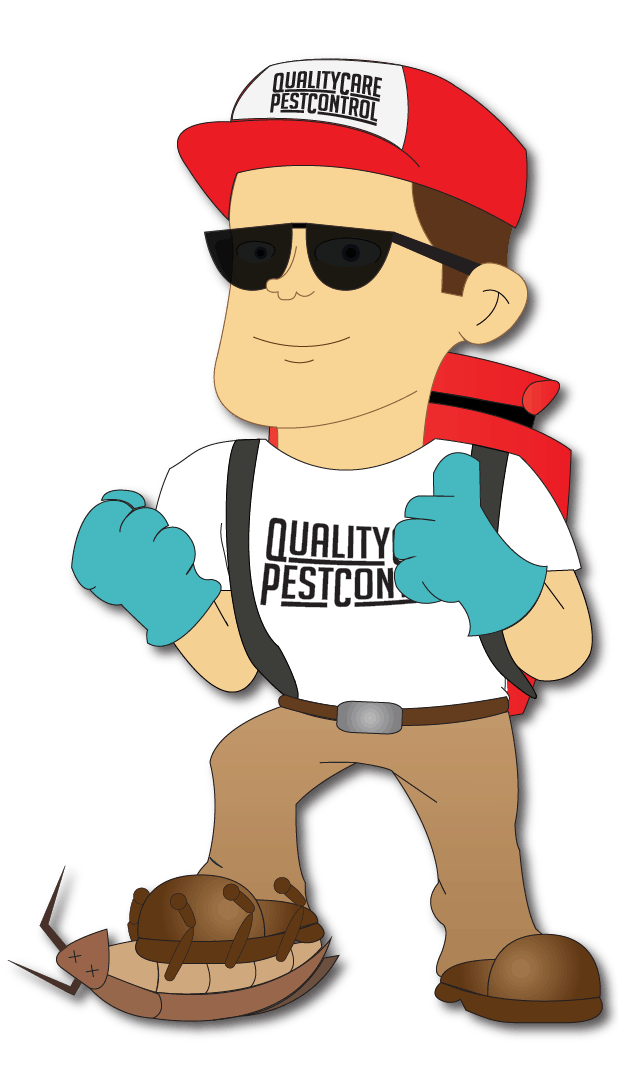 V2 BugMan_Quality-Care-Pest-Control_Artboard 1_Winc-Media